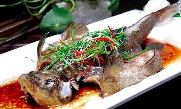 為什么桂花魚要叫桂花？桂花魚有牙嗎