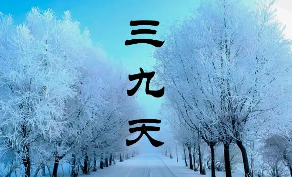 三九天的由來是怎樣的？三九天養生食譜