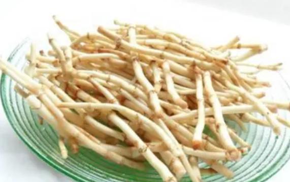 魚腥草什么季節有？魚腥草是熱性還是涼性