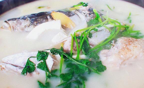 鳙魚頭湯的好處與作用有什么？鰱魚頭湯怎么做好喝